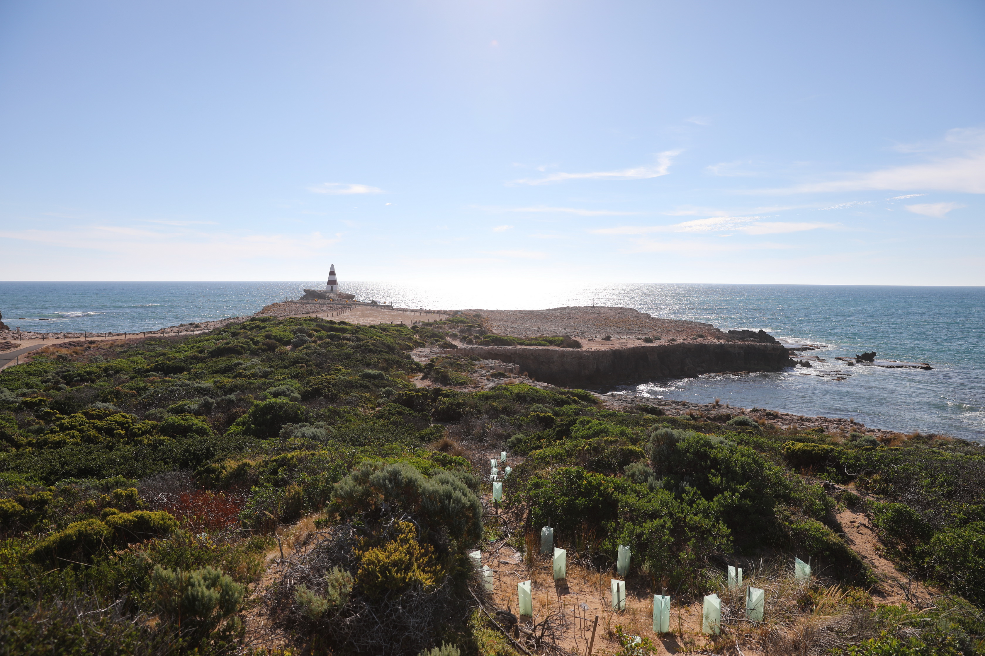 2019 12 15 17 40 08 Canon EOS 5D Mark IV 0040